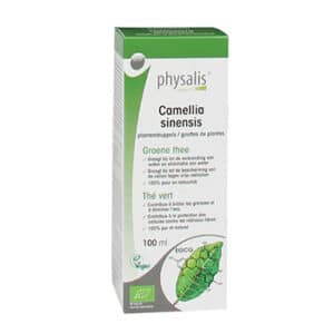 Physalis Camellia